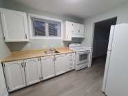 MOUNT PEARL - 1 BR APT - W/D INCL (NO PARKING)