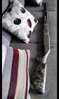 New semi auto 12ga n chokes - Photo 2 of 4