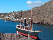 S.S. Newfoundland