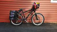 Norco Bushpilot Mountain Bike 