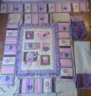 Nursery bedding 9 pcs Window topper Quilt +more