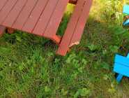 Outdoor Garden Plant Stands (Wooden) - Photo 4 of 5