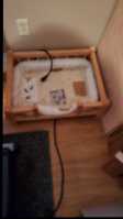 Pet Bed  - Photo 1 of 3