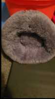 Pet Bed - Photo 1 of 3