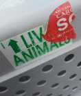 PETMATE SKYKENNEL x-large up to 90lbs - Photo 1 of 4