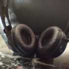 Philips SHP1900 Stereo Headphones - Photo 2 of 4