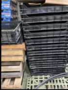 Plastic produce trays  - Photo 1 of 4