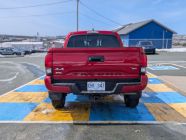 2023 Toyota Tacoma Other - Photo 4 of 16