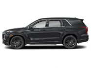 2025 Hyundai Palisade Ultimate Calligraphy Night - Photo 2 of 13