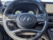 2025 Hyundai Palisade Ultimate Calligraphy Night - Photo 20 of 23