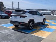 2022 Hyundai Tucson Hybrid Luxury - Photo 3 of 18