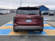 2023 Kia Telluride SX Limited - Photo 4 of 23