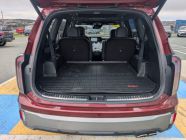 2023 Kia Telluride SX Limited - Photo 6 of 23
