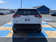 2025 Toyota RAV4 XLE - Photo 4 of 19