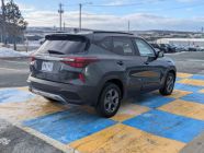 2022 Kia Seltos LX - Photo 3 of 18