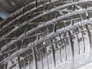 2024 Toyota Tacoma Other - Photo 7 of 19