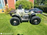 Polaris 330 Magnum