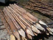 Posts and Longers available
