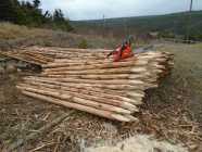 Posts and Longers available - Photo 2 of 4