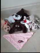 Pound puppies