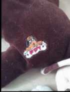 Pound puppies - Photo 1 of 3