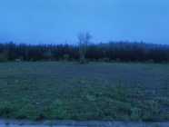 2 Acres Prime Property Best Salmon Rivers In NL. - Photo 4 of 5