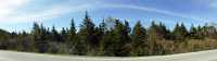 Your Private Forest Retreat In PC-SP- Last Lot! - Photo 2 of 7