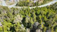 Your Private Forest Retreat In PC-SP- Last Lot! - Photo 3 of 7