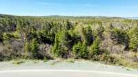 Your Private Forest Retreat In PC-SP- Last Lot!