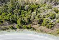 Your Private Forest Retreat In PC-SP- Last Lot! - Photo 5 of 7