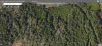 Your Private Forest Retreat In PC-SP- Last Lot! - Photo 6 of 7