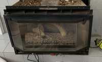 Propane fireplace  - Photo 1 of 2