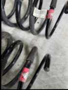 Rear Coil Springs - Photo 1 of 2