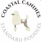 Registered standard poodles wait list open now 