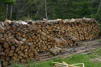 Seasoned Firewood - Photo 2 of 4