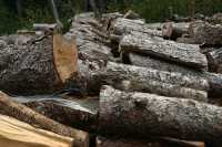 Seasoned Firewood - Photo 1 of 4