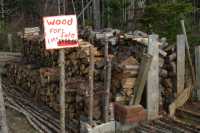 Seasoned Firewood