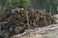 Seasoned Firewood - Photo 2 of 4