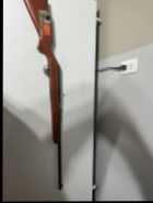 Semi auto 22 winchester