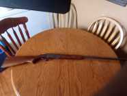 Shotgun