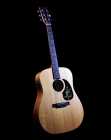 SIGMA / MARTIN ACOUSTIC/ELECTRIC