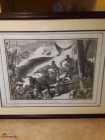 signed whaling John Hayward, LTD ED.