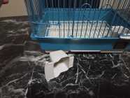 Small Bird Travel Cage - Photo 3 of 4