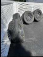 Snow tires and rims - Photo 1 of 6