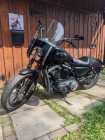 HD Sportster Iron 