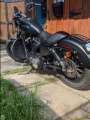 HD Sportster Iron  - Photo 1 of 4