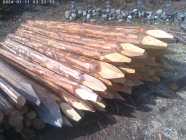 Stakes and Rails available