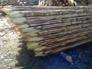 Stakes and Rails available - Photo 2 of 5