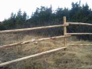 Stakes and Rails available - Photo 4 of 5