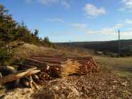 Stakes and rails available - Photo 1 of 4